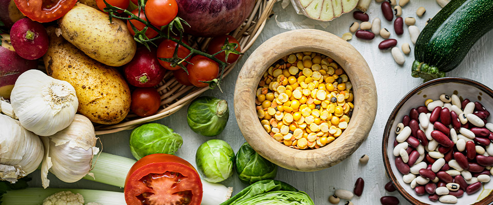 A RELAÇÃO ENTRE A PLANT-BASED DIET E A OBESIDADE