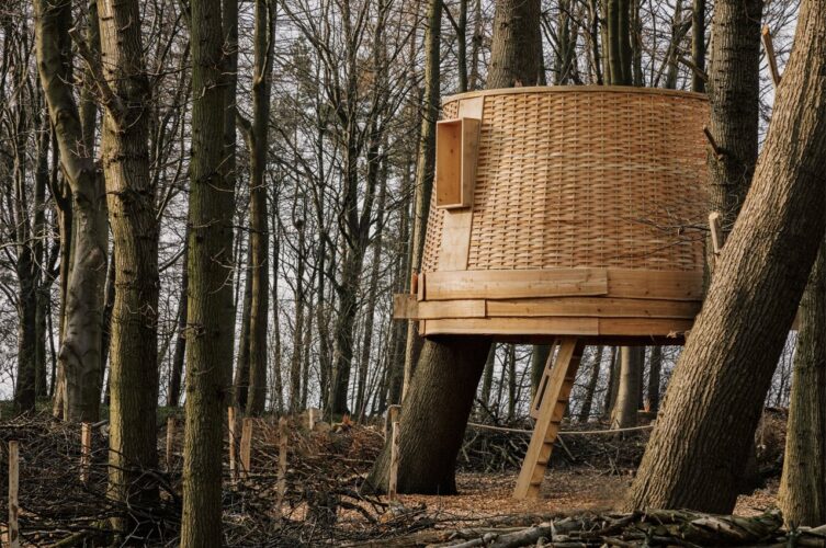 Esta casa na árvore é construída a partir de árvores derrubadas para provar a importância do gerenciamento eficaz da floresta