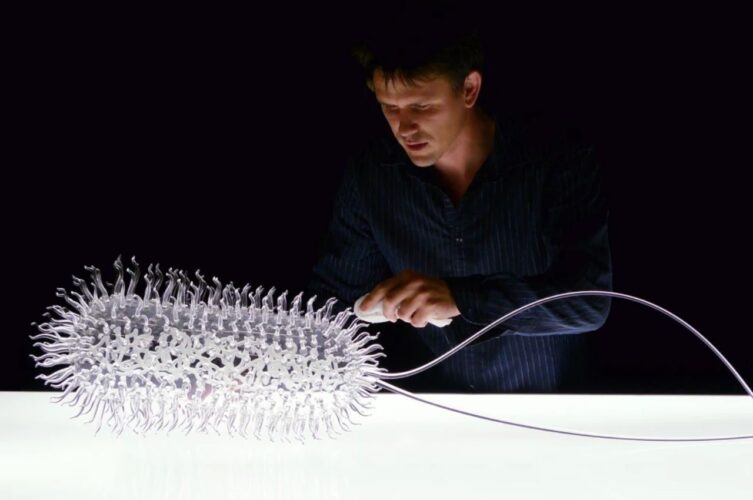 Escultor Cria Criações De Vidro Cientificamente Precisas De Bactérias E Vírus