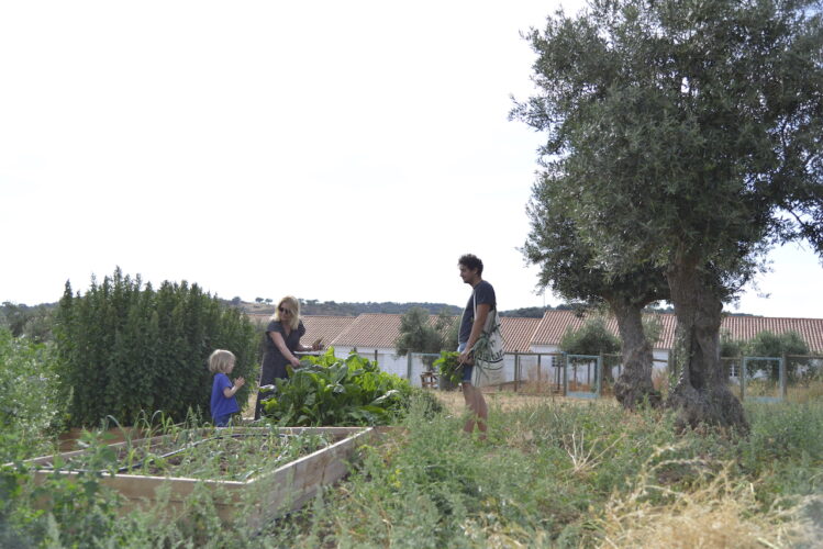 ALANDROAL ACOLHE EVENTO “SOIL TO SOUL”