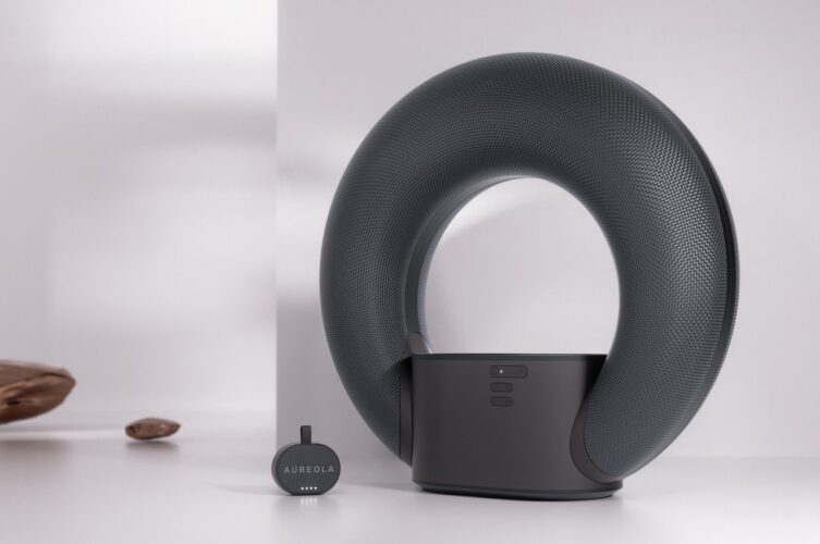 Este Belo Alto-falante Sem Fio Vem Em Duas Partes Para Uso Externo E Interno