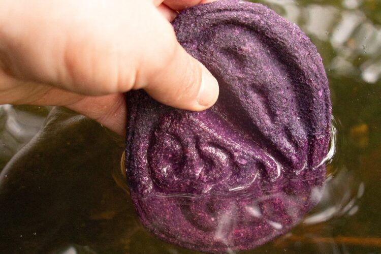 Bio-ferramenta Inteligente Feita De Repolho Roxo Detecta Se Sua água Está Contaminada