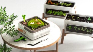 Eco-hub permite regenerar plantas a partir de resíduos orgânicos