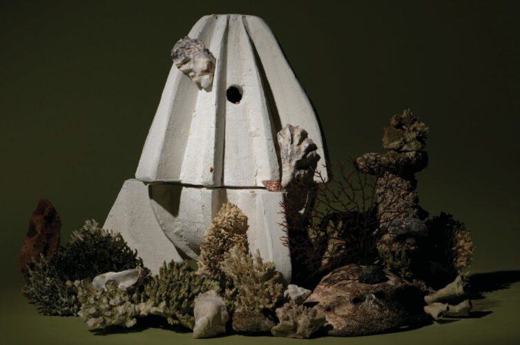 Biocimento: Um Material Potencial Que Pode Substituir O Cimento Normal