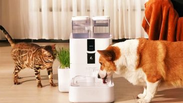 A moderna fonte de água para animais de estimação tem um reservatório de 10 litros e um sistema de filtragem de vários estágios