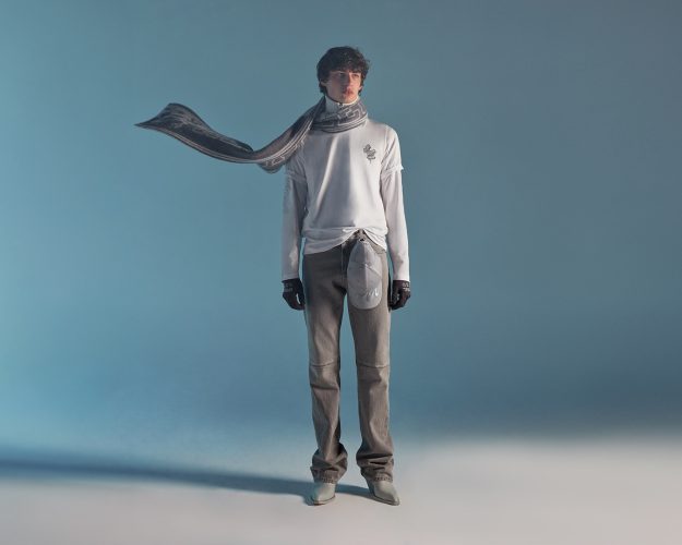 A Vespa Veste-se De Serpente